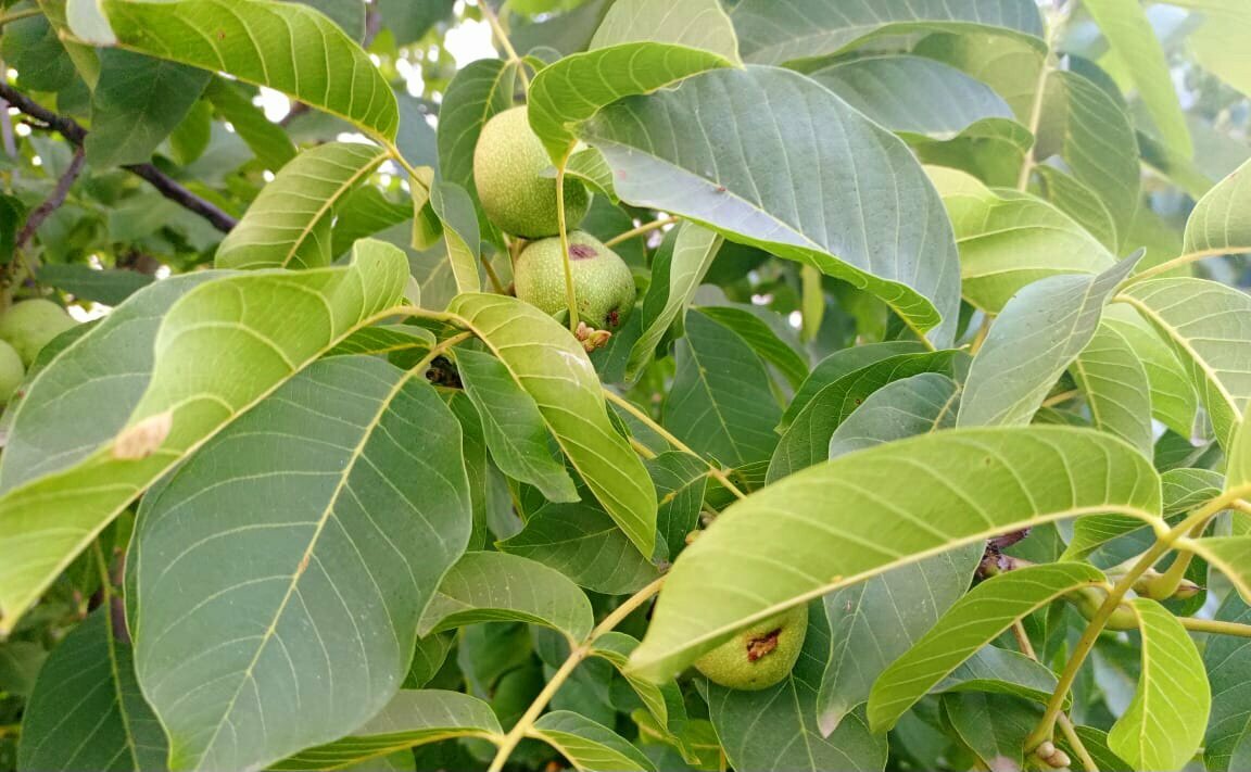 Гостиница На водах Кисловодск-50